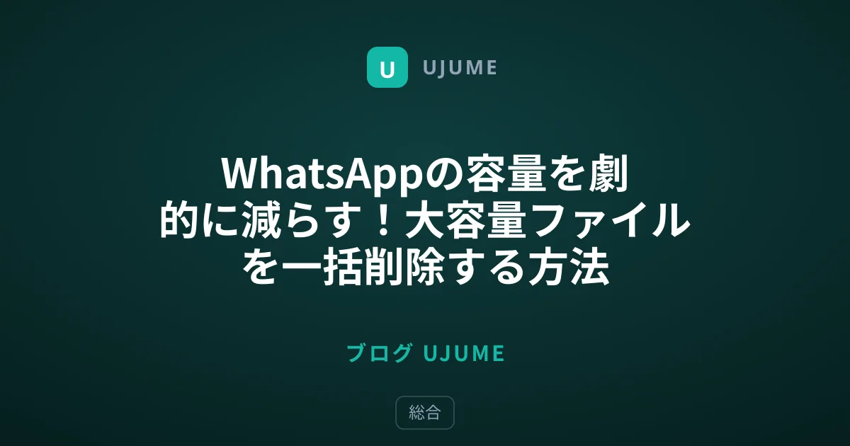 WhatsAppの容量を劇的に減らす！大容量ファイルを一括削除する方法